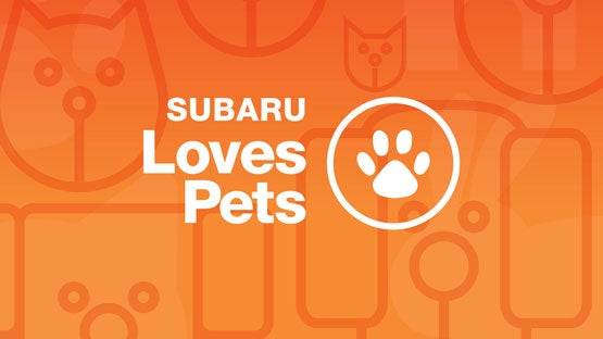 i.g. Burton Subaru of Glen Burnie in Glen Burnie MD