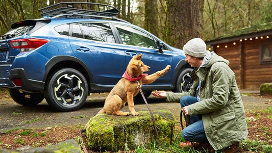 i.g. Burton Subaru of Glen Burnie in Glen Burnie MD
