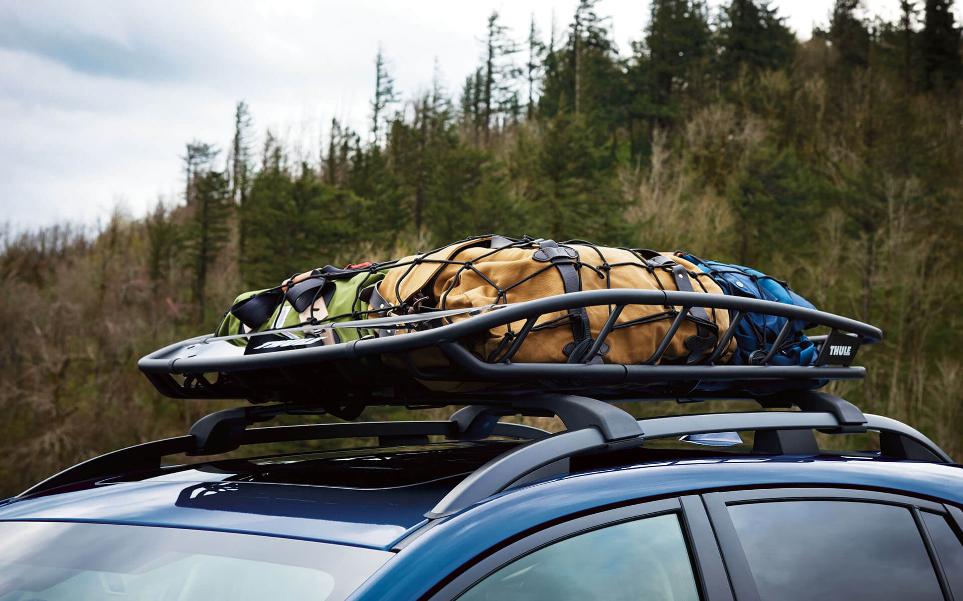 A blue car with a Thule roof basket full of strapped-down bags, against a backdrop of green trees.