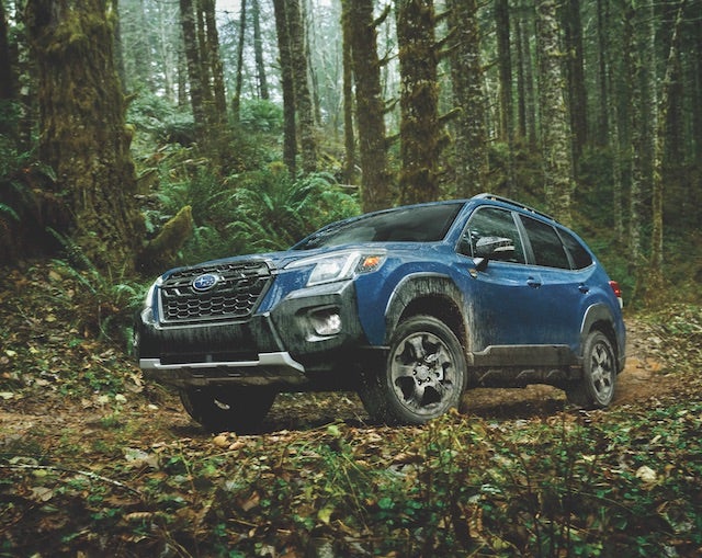 A blue Subaru Forester Wilderness Edition SUV drives on a muddy trail through a dense forest with tall trees.