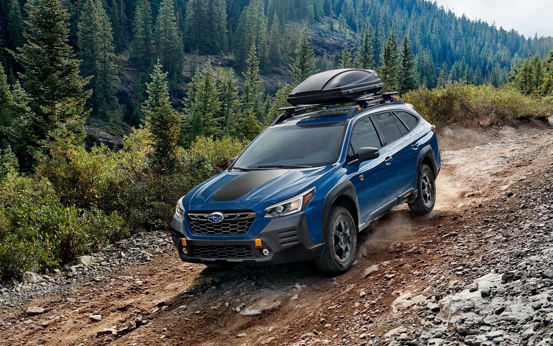 Blue Subaru Outback Wilderness with a roof cargo box driving on a dirt road in a forest.