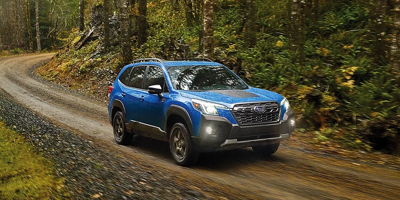 A blue Subaru Forester Wilderness drives on a winding dirt road through a lush green forest, headlights on.