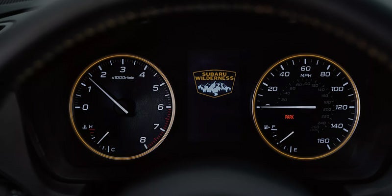 Wilderness-Themed Digital Instrument Cluster Display