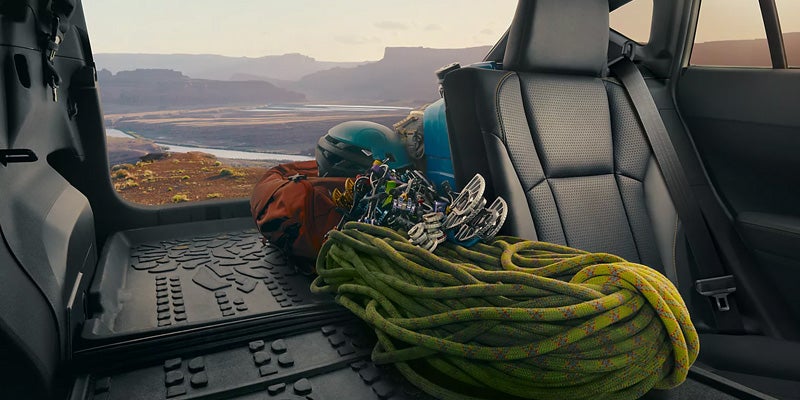 Rear Cargo Area Carrying Outdoor Adventure Gear
