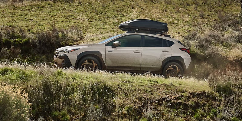 Wilderness Crossover Driving Through Open Grassland