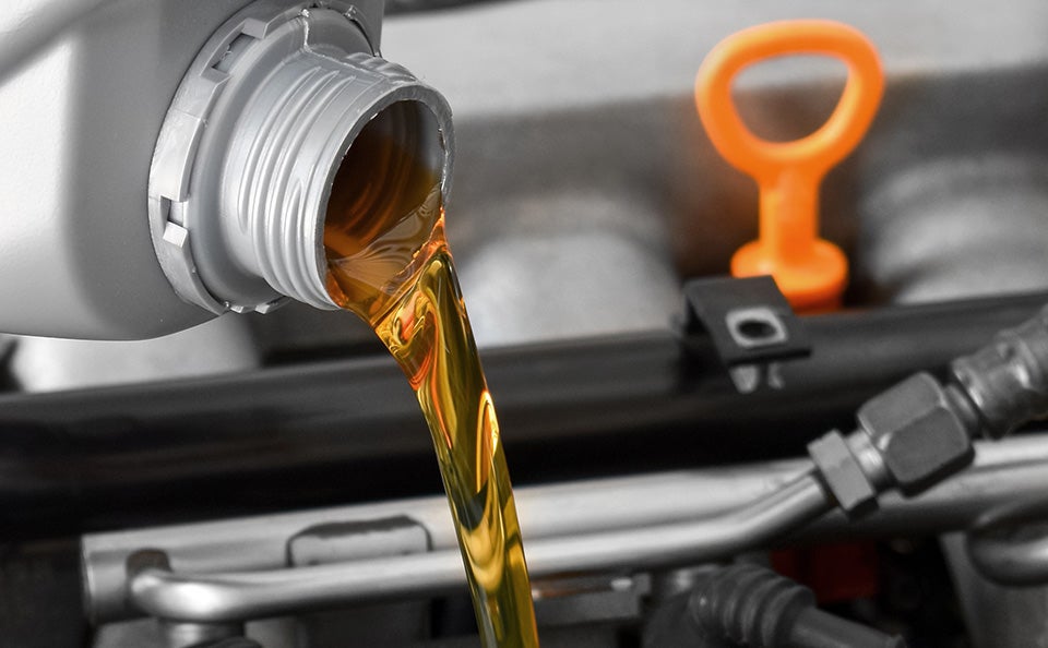 Oil & Filter Change